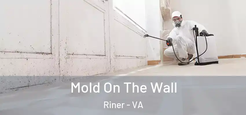  Mold On The Wall Riner - VA