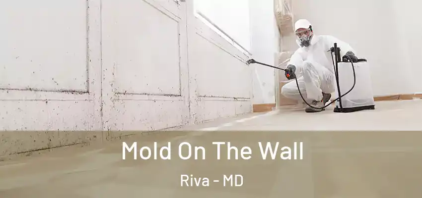 Mold On The Wall Riva - MD