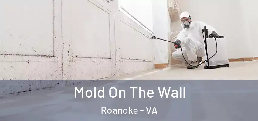  Mold On The Wall Roanoke - VA