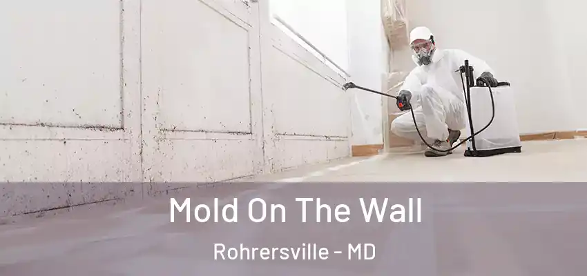 Mold On The Wall Rohrersville - MD