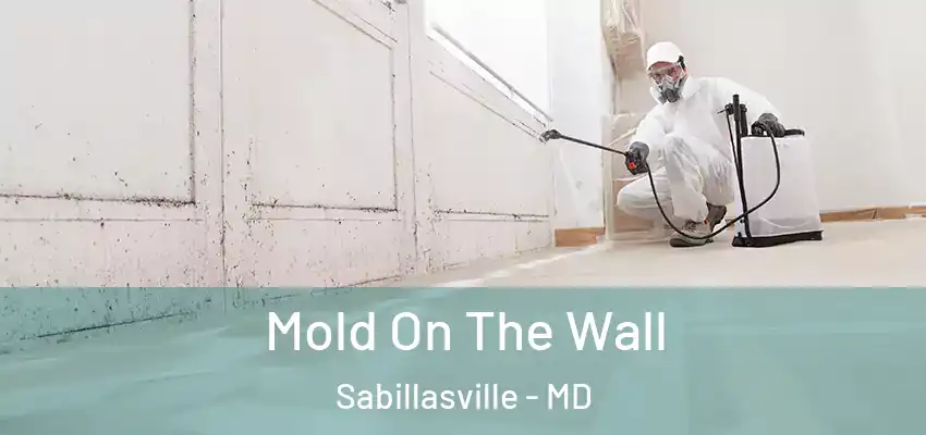  Mold On The Wall Sabillasville - MD