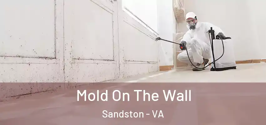  Mold On The Wall Sandston - VA