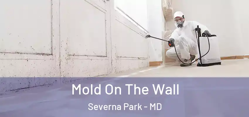 Mold On The Wall Severna Park - MD