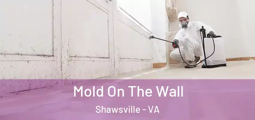 Mold On The Wall Shawsville - VA