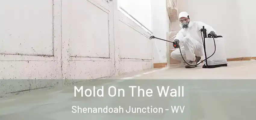 Mold On The Wall Shenandoah Junction - WV
