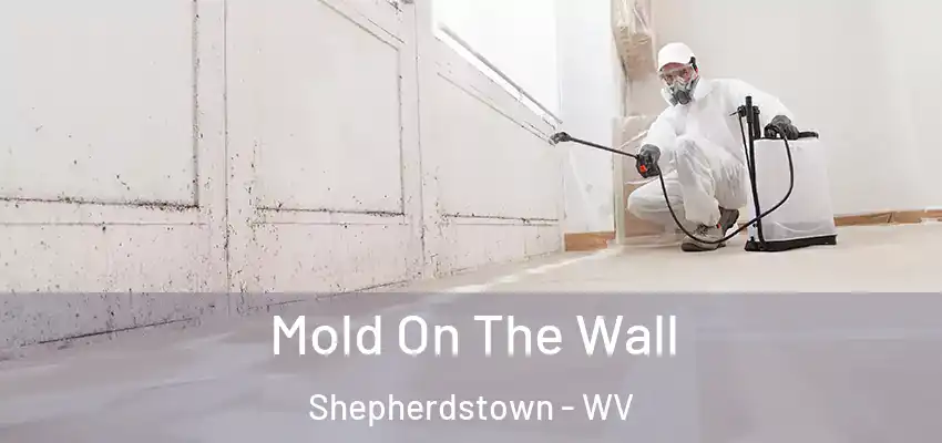 Mold On The Wall Shepherdstown - WV
