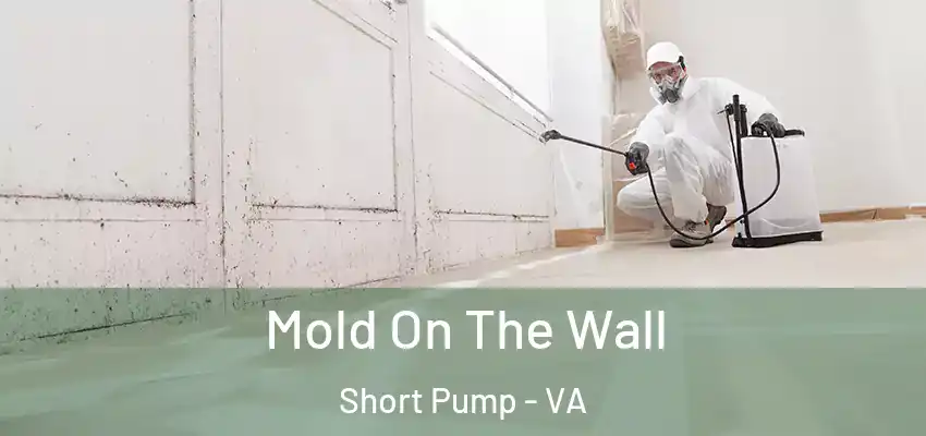 Mold On The Wall Short Pump - VA