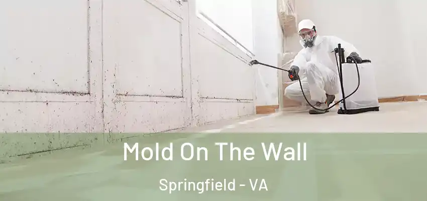 Mold On The Wall Springfield - VA
