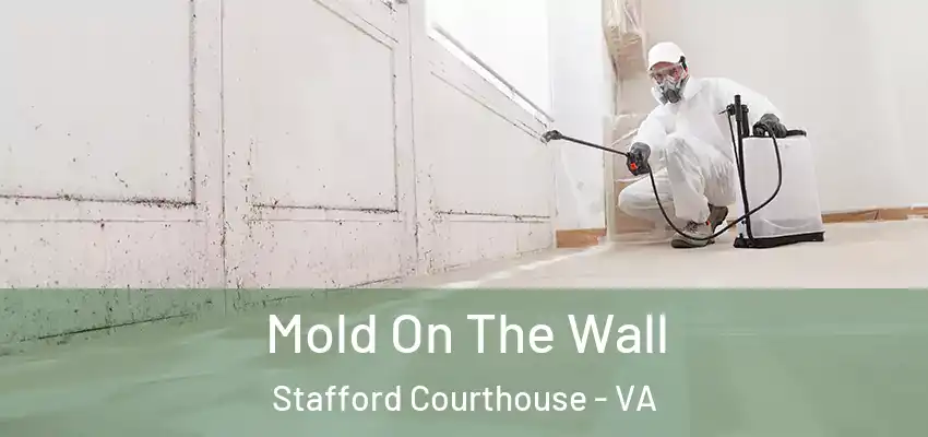Mold On The Wall Stafford Courthouse - VA