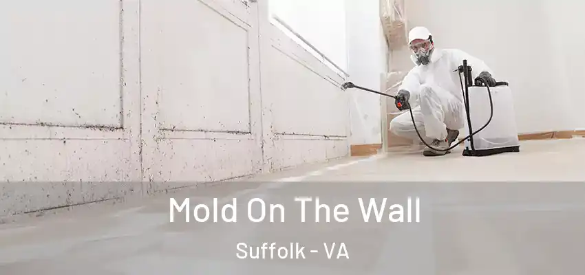  Mold On The Wall Suffolk - VA
