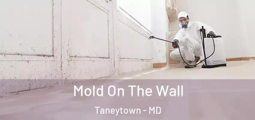  Mold On The Wall Taneytown - MD