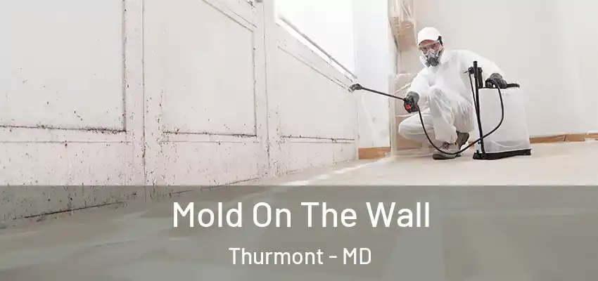  Mold On The Wall Thurmont - MD