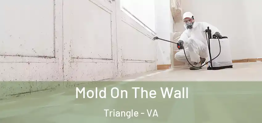 Mold On The Wall Triangle - VA