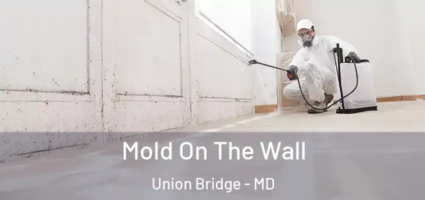  Mold On The Wall Union Bridge - MD
