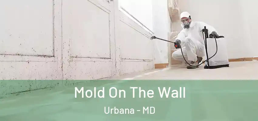 Mold On The Wall Urbana - MD