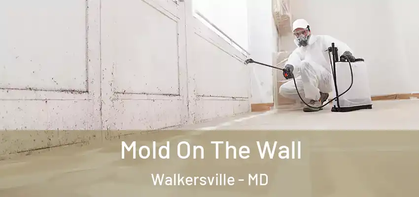 Mold On The Wall Walkersville - MD
