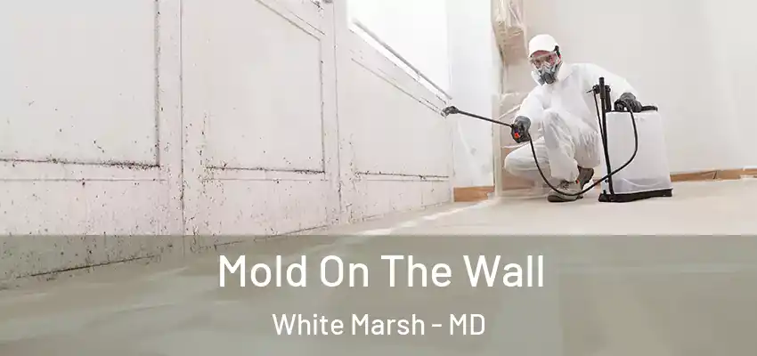  Mold On The Wall White Marsh - MD