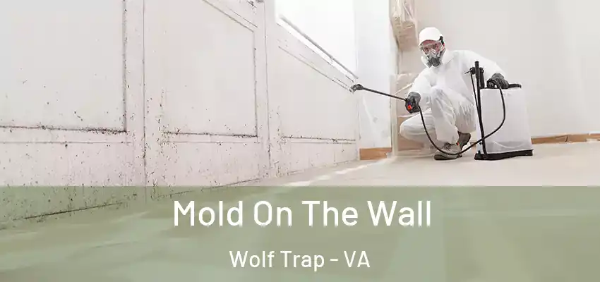 Mold On The Wall Wolf Trap - VA