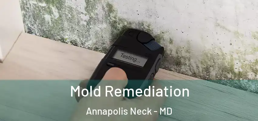 Mold Remediation Annapolis Neck - MD