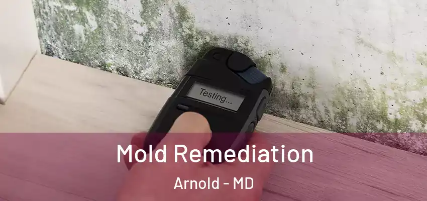  Mold Remediation Arnold - MD