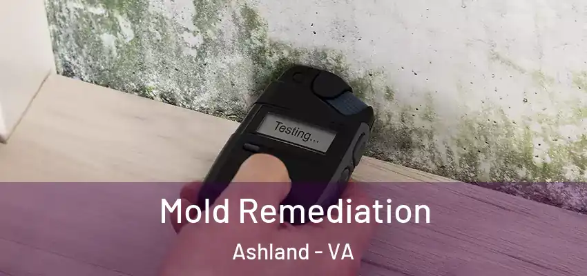 Mold Remediation Ashland - VA