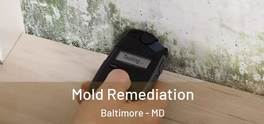 Mold Remediation Baltimore - MD