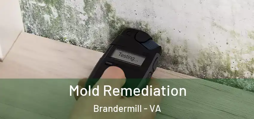  Mold Remediation Brandermill - VA