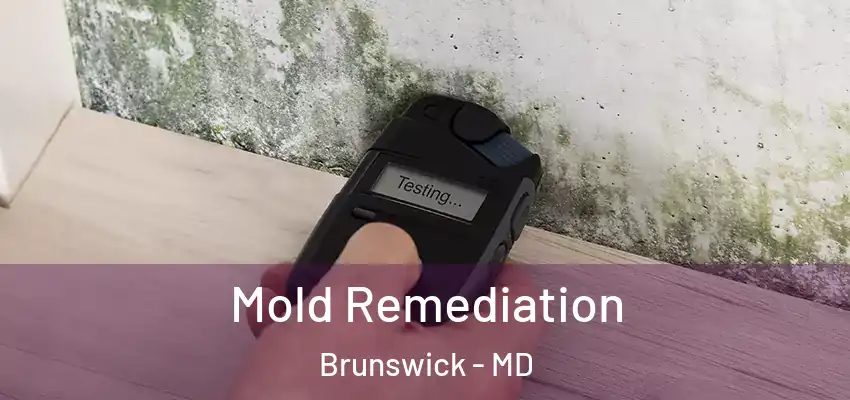 Mold Remediation Brunswick - MD