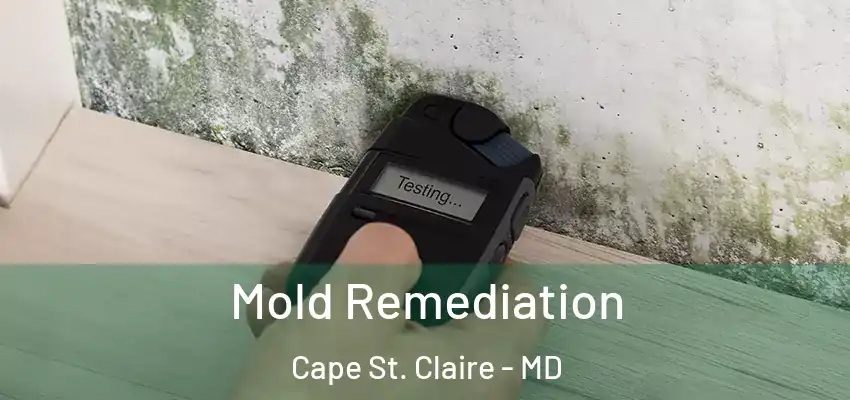 Mold Remediation Cape St. Claire - MD