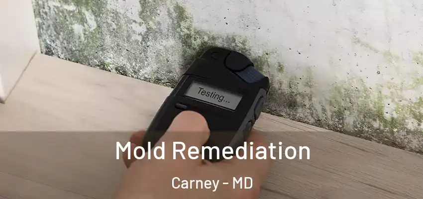  Mold Remediation Carney - MD