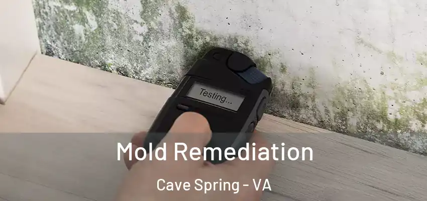 Mold Remediation Cave Spring - VA