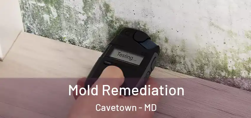  Mold Remediation Cavetown - MD