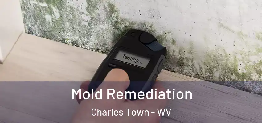 Mold Remediation Charles Town - WV