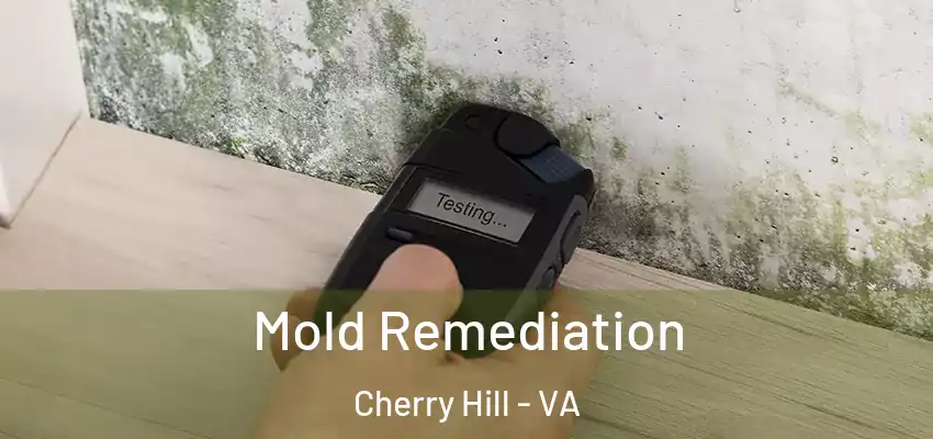  Mold Remediation Cherry Hill - VA