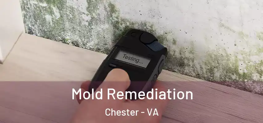 Mold Remediation Chester - VA