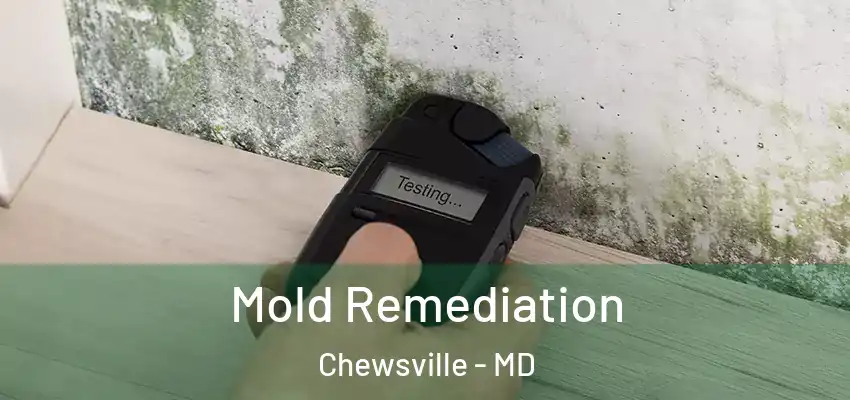Mold Remediation Chewsville - MD