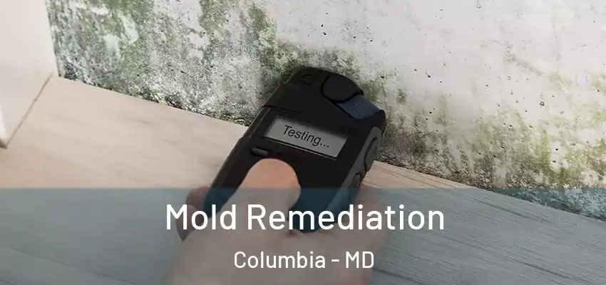 Mold Remediation Columbia - MD