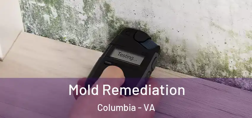 Mold Remediation Columbia - VA