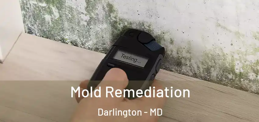 Mold Remediation Darlington - MD