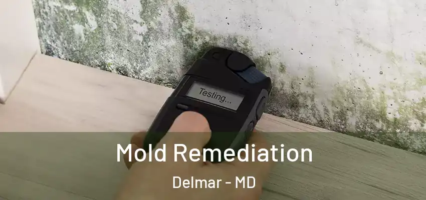  Mold Remediation Delmar - MD