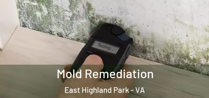 Mold Remediation East Highland Park - VA