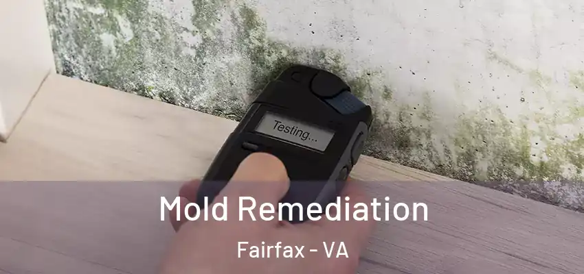 Mold Remediation Fairfax - VA