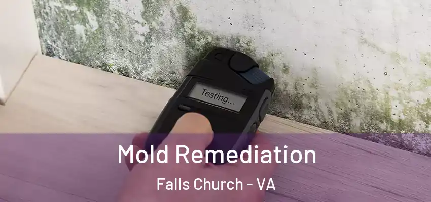  Mold Remediation Falls Church - VA