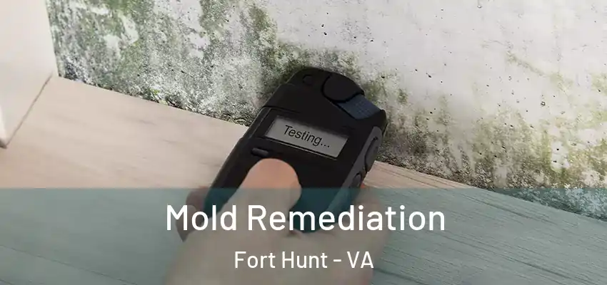 Mold Remediation Fort Hunt - VA