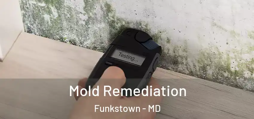 Mold Remediation Funkstown - MD