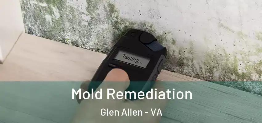 Mold Remediation Glen Allen - VA