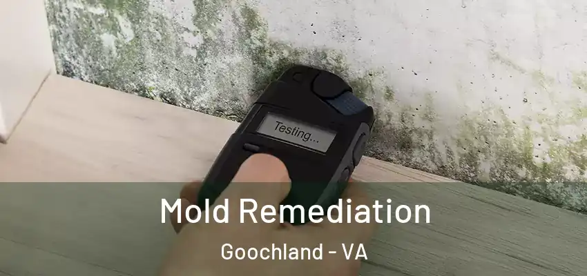  Mold Remediation Goochland - VA