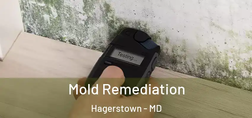  Mold Remediation Hagerstown - MD