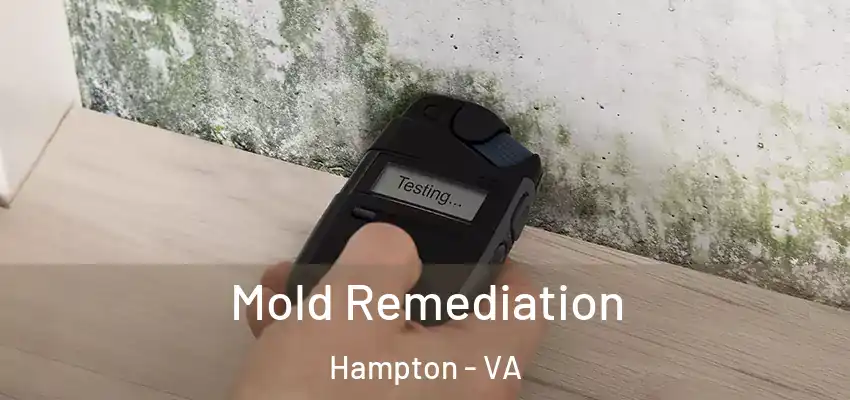 Mold Remediation Hampton - VA