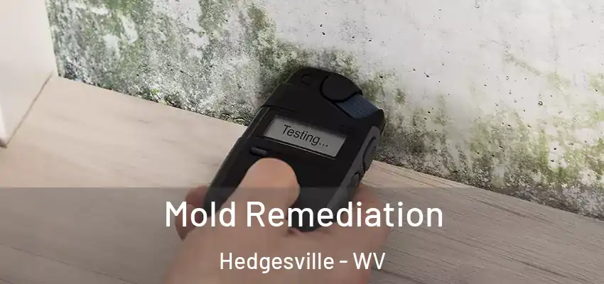 Mold Remediation Hedgesville - WV